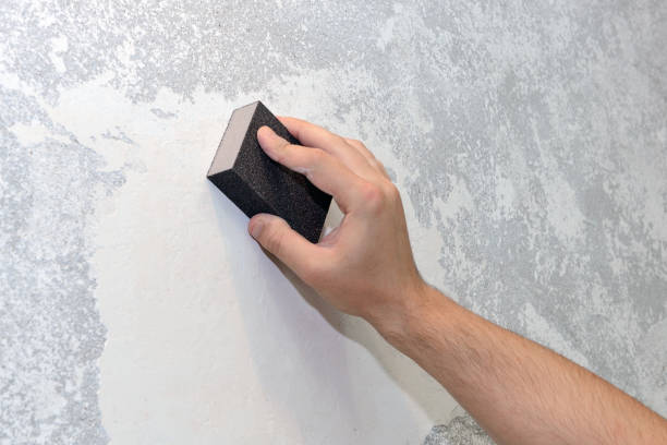 Best Mold Odor Removal Services  in USA